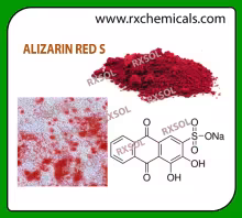 ALIZARIN RED S