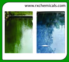 Algaecide