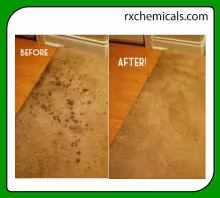 Carpet Cleaner Bio