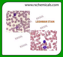 LEISHMAN STAIN