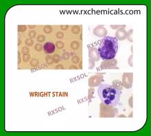WRIGHT STAIN