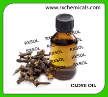 CLOVE OIL